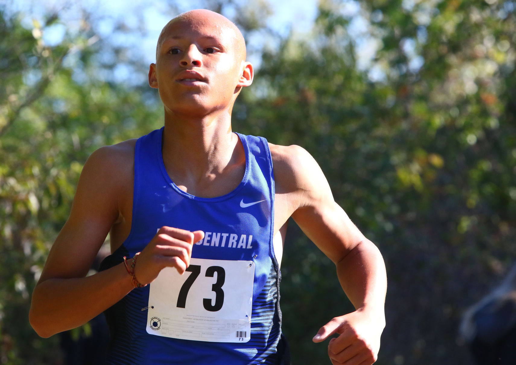 Gallery: Duneland Athletic Conference cross country meet